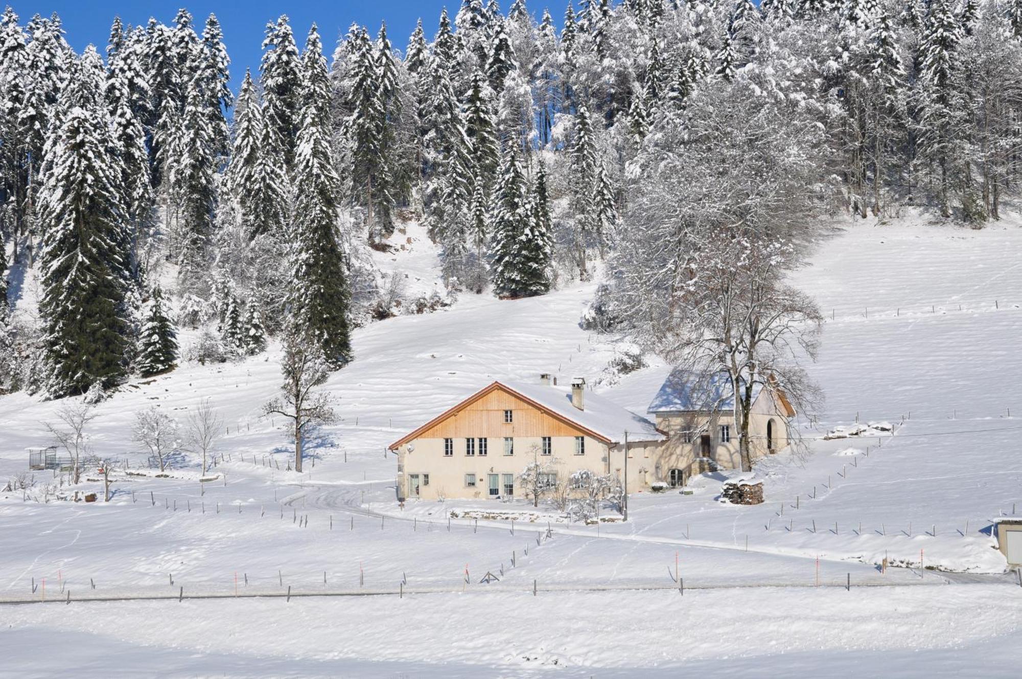 Апартаменты Relais De La Baume Ле-Локль Экстерьер фото