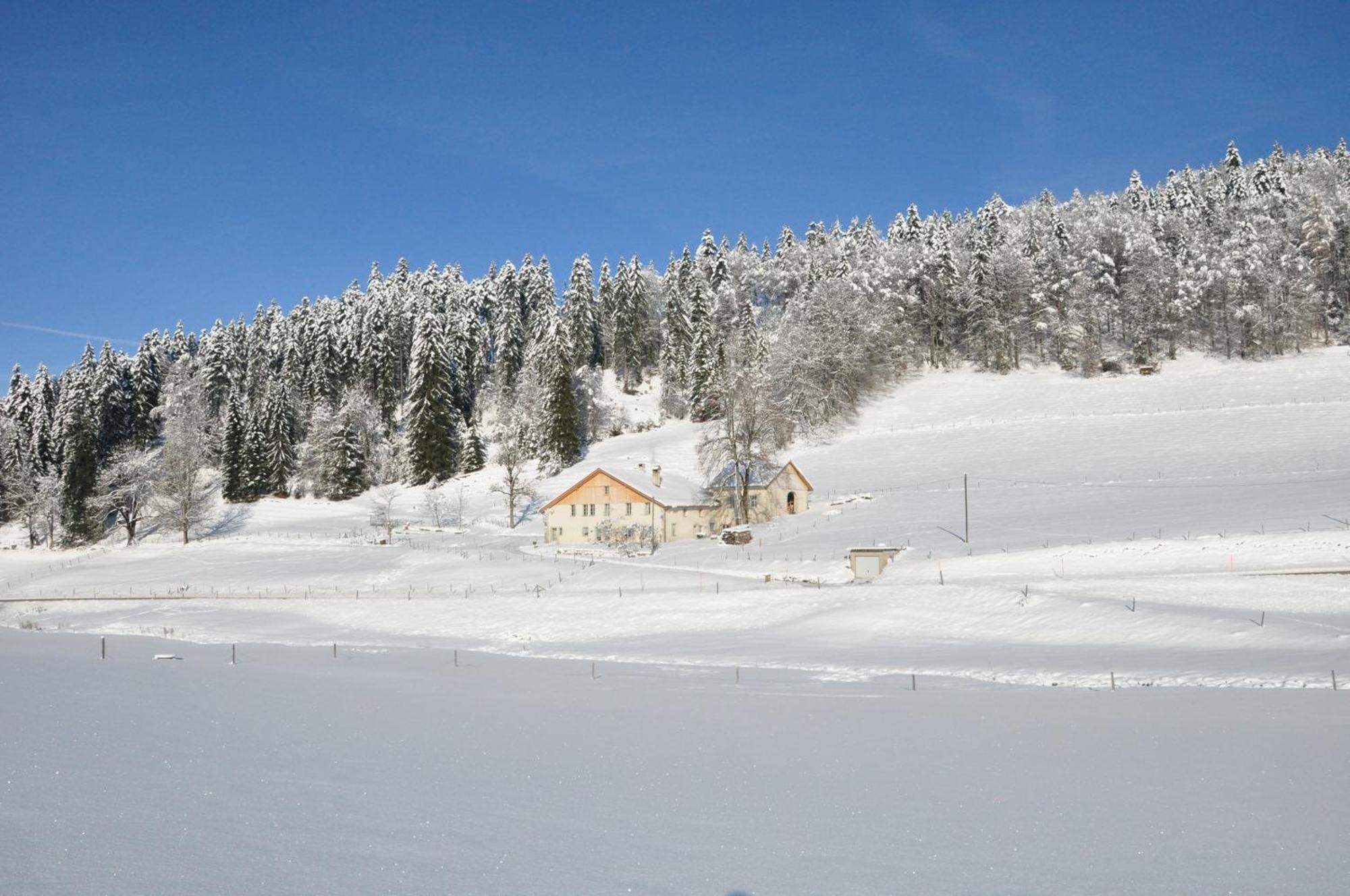 Апартаменты Relais De La Baume Ле-Локль Экстерьер фото