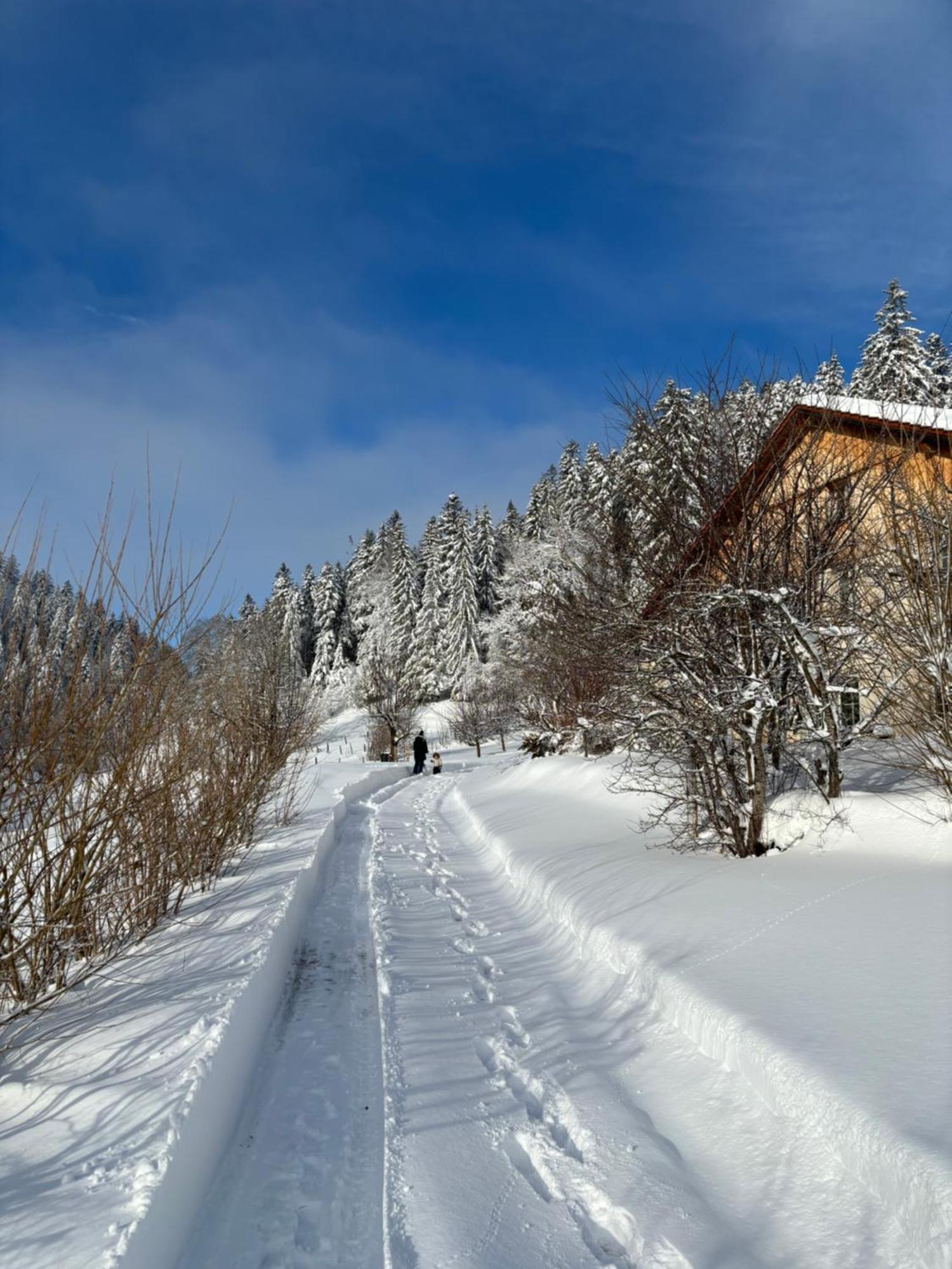 Апартаменты Relais De La Baume Ле-Локль Экстерьер фото
