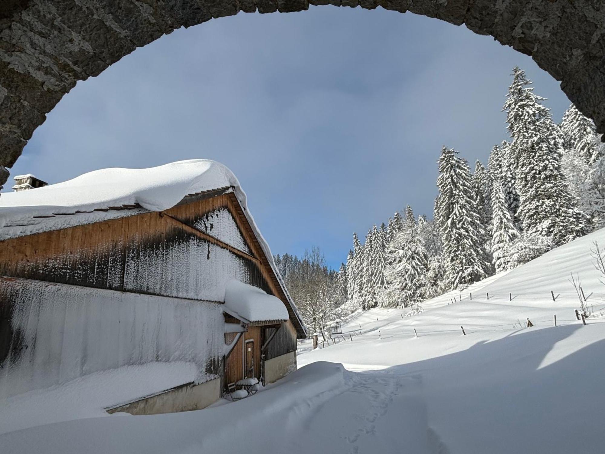 Апартаменты Relais De La Baume Ле-Локль Экстерьер фото