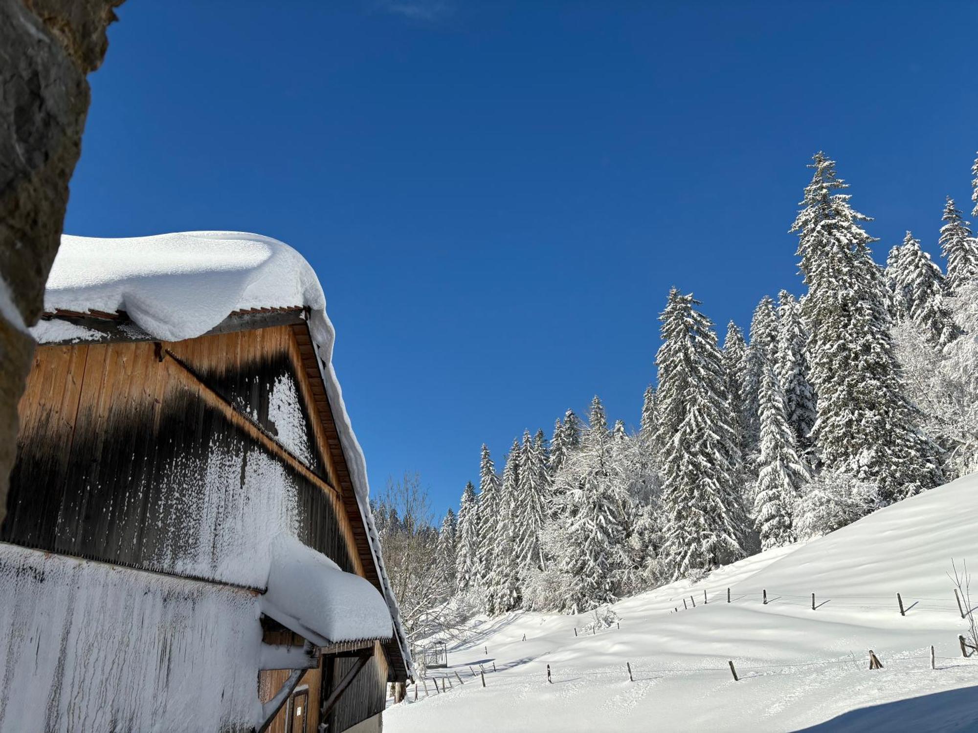 Апартаменты Relais De La Baume Ле-Локль Экстерьер фото