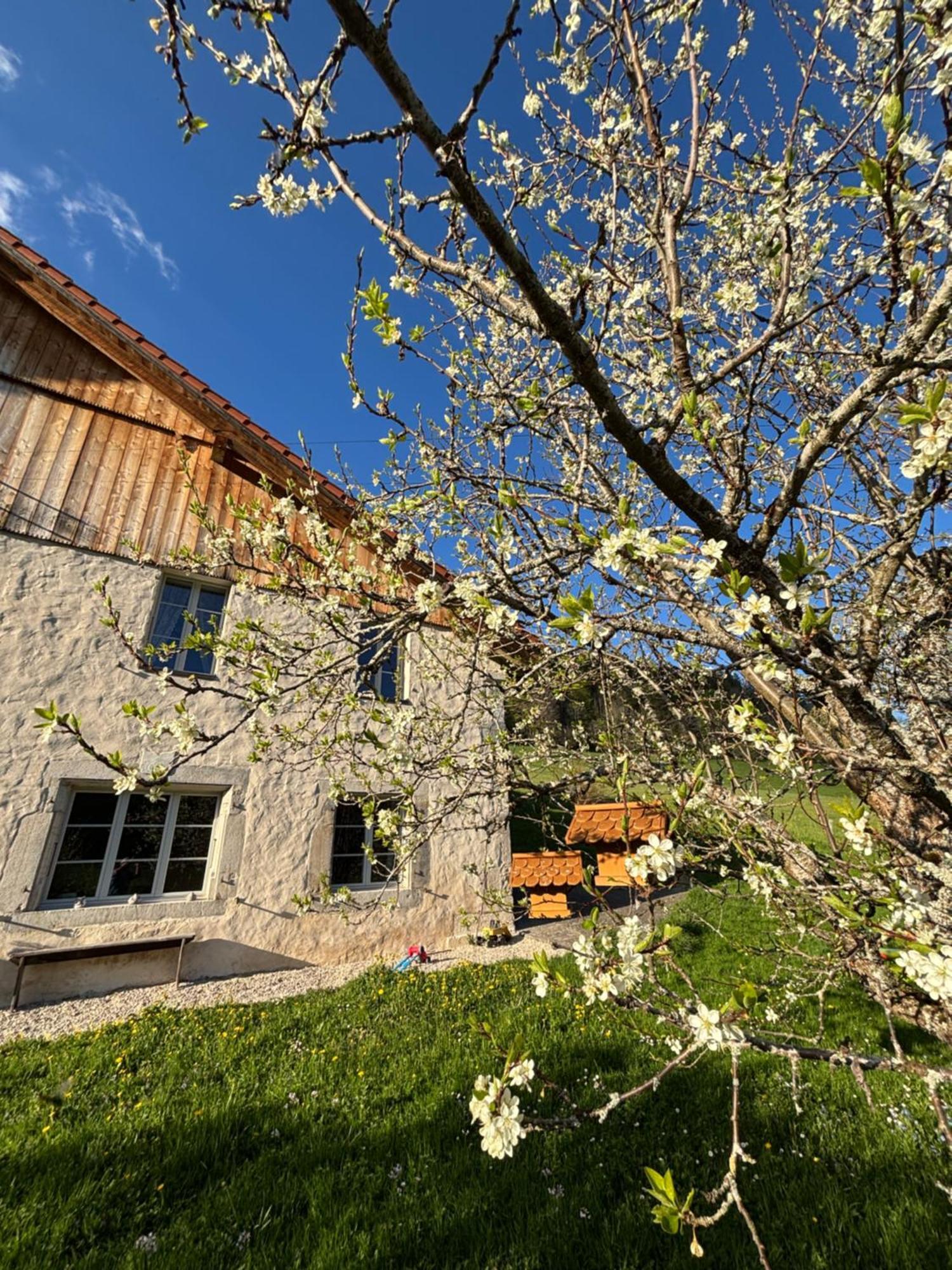 Апартаменты Relais De La Baume Ле-Локль Экстерьер фото